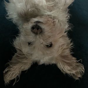 Meet your Posher, Kyla